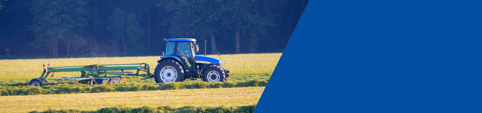 BEFR Ford New Holland TS 100